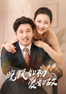 资源《晚风如初爱如故》的海报