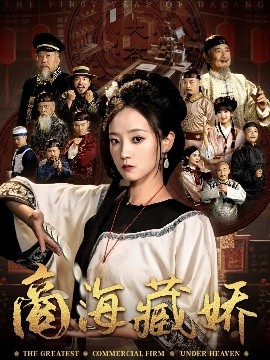 资源《商海藏娇》的海报