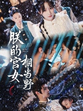 资源《朕的宫女相当野》的海报