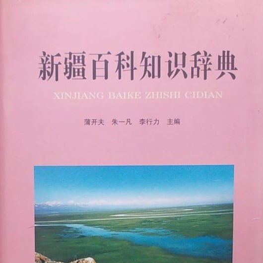 资源《新疆百科知识辞典》的海报