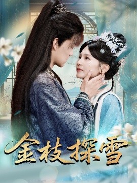 资源《金枝探雪》的海报