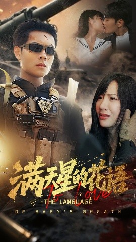 资源《满天星的花语》的海报