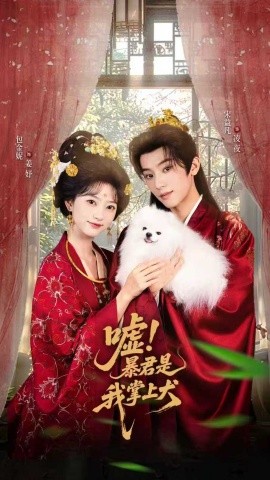 嘘！暴君是我掌上犬&废妃逆袭陛下借宠识真心