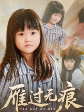 资源《雁过无痕》的海报