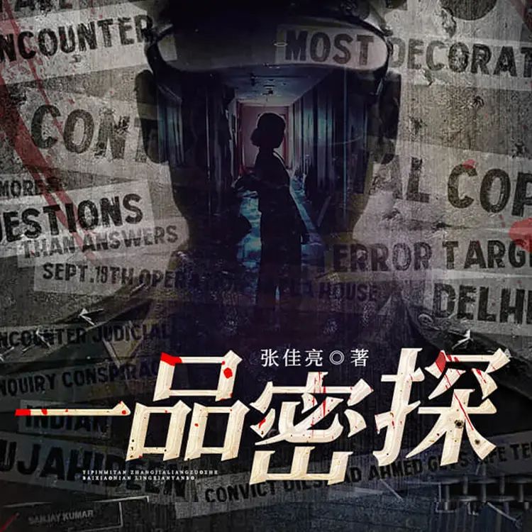 资源《多人有声剧《一品密探》主播：白小年 405集完》的海报