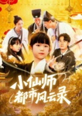 资源《小仙师都市风云录》的海报
