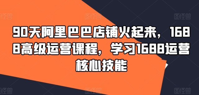 资源《1688高级运营课 学习核心技能》的海报