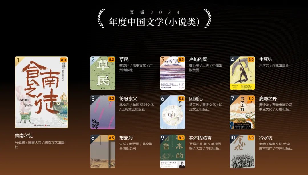资源《2024年度中国文学（小说类）》的海报