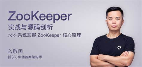 资源《极客时间-么敬国-ZooKeeper实战与源码剖析》的海报