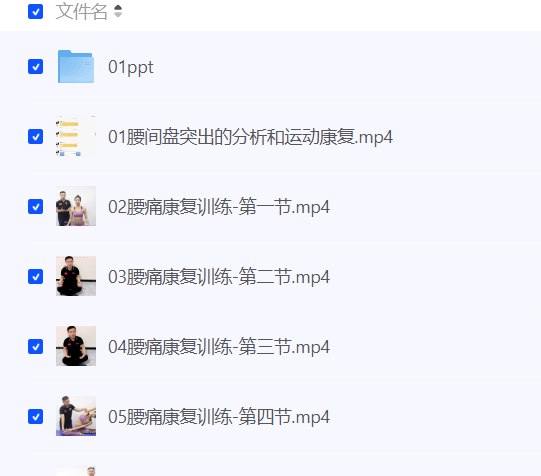 资源《《腰痛运动康复：教练与患者必学》》的海报