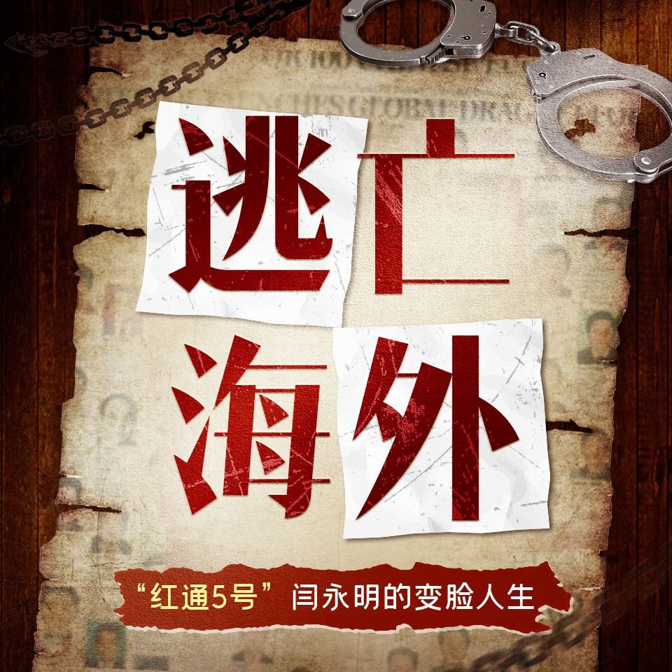 资源《【有声书】逃亡海外》的海报