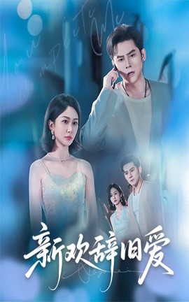 资源《新欢辞旧爱》的海报