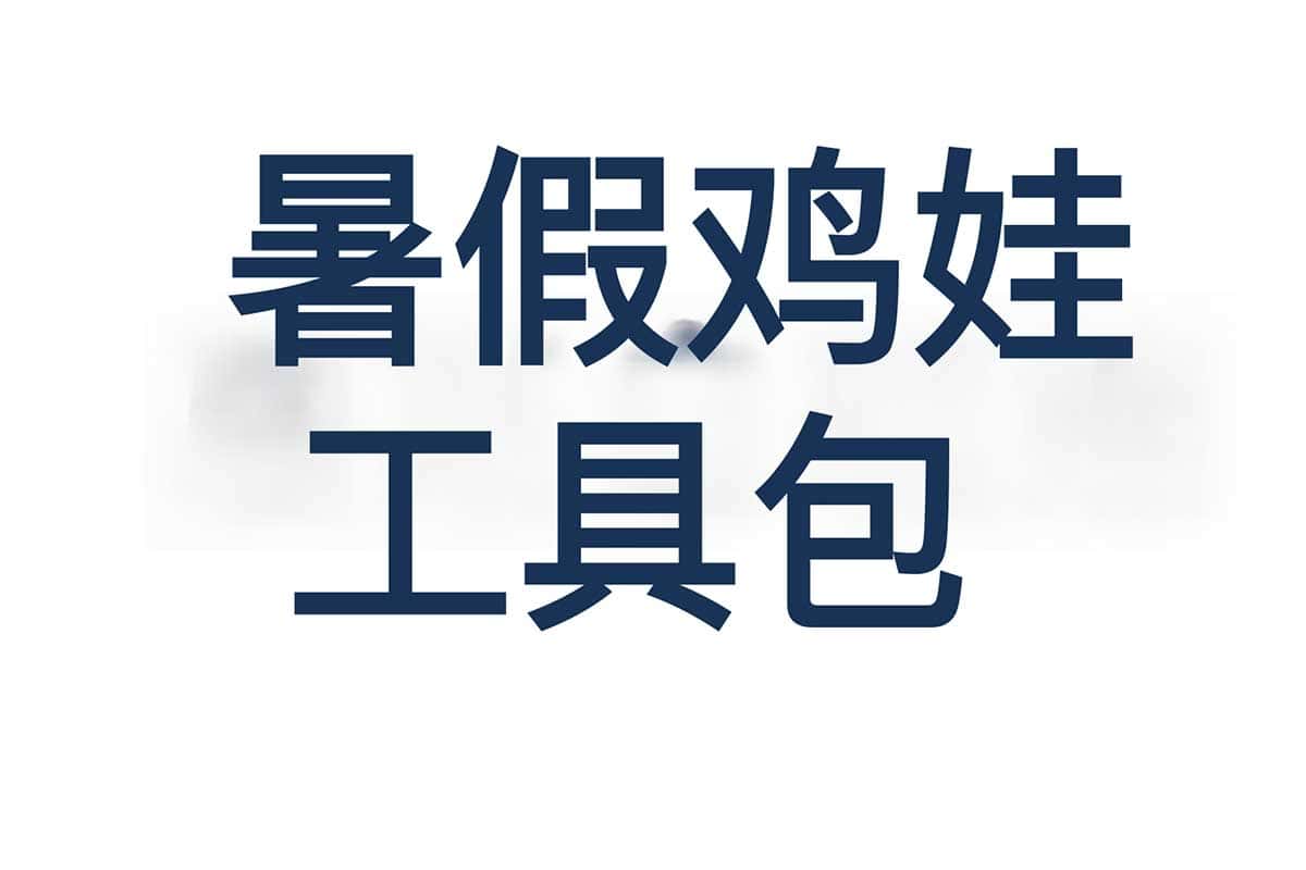 资源《2024暑假鸡娃工具包 (无水印)》的海报