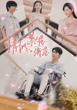 资源《情似繁花渐落》的海报