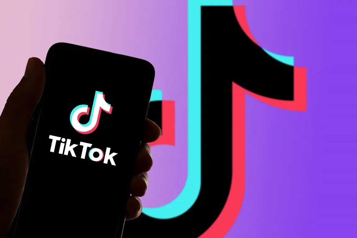 资源《海外版抖音tiktok流量变现玩法》的海报