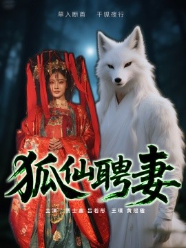 资源《狐仙聘妻》的海报