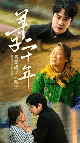 资源《寻子二十年我竟成了人贩子》的海报