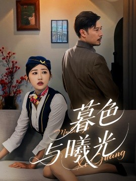 资源《暮色与曦光》的海报