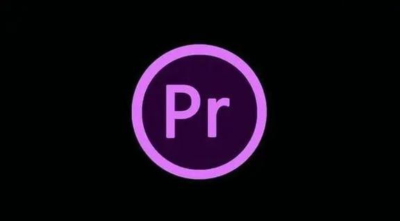 资源《PR从零基础入门到视频剪辑大神教程100集全》的海报