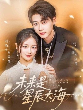 资源《未来是星辰大海》的海报
