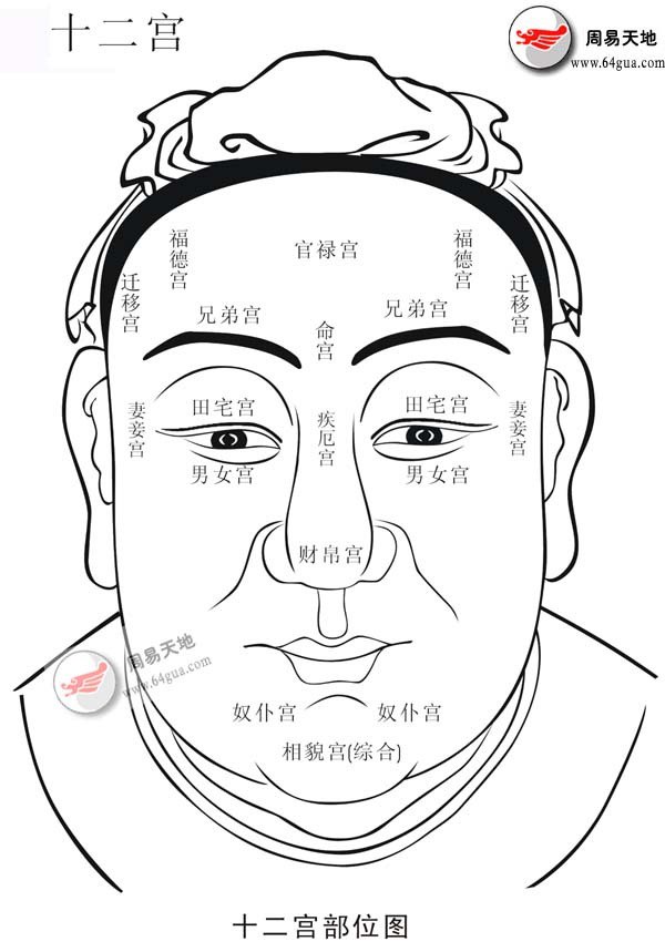 资源《《图解麻衣神相》面相手相分析 一用就灵的权威相术大全[pdf]》的海报