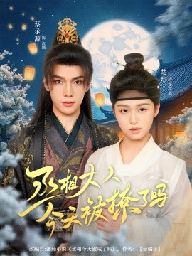 资源《丞相大人今天被撩了吗》的海报