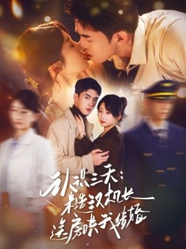 认识三天：糙汉机长送房哄我结婚