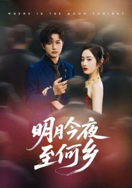 资源《明月今夜至何乡》的海报