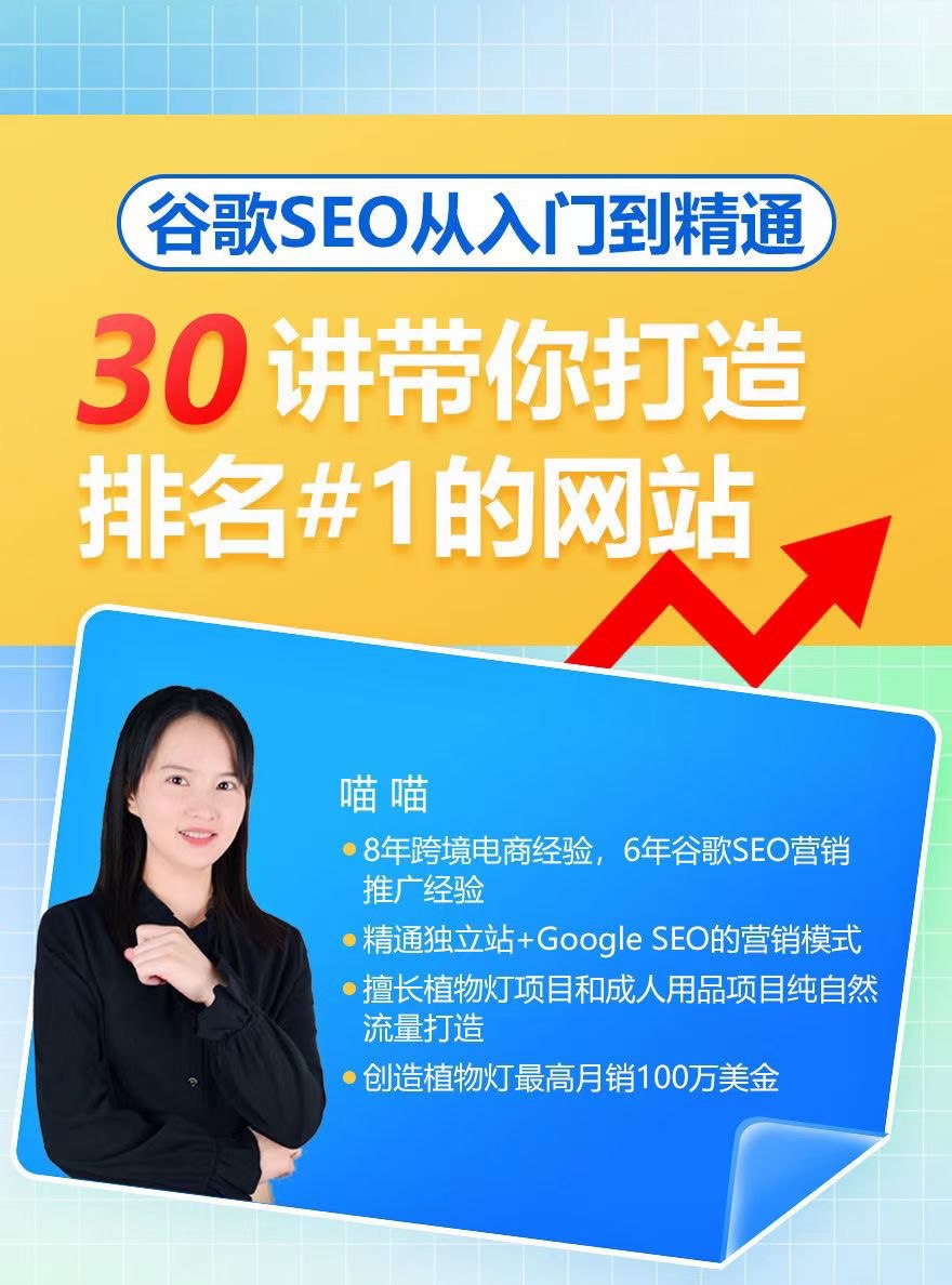 资源《谷歌SEO从入门到精通》的海报
