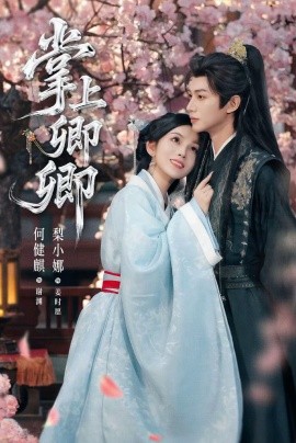 资源《掌上卿卿》的海报