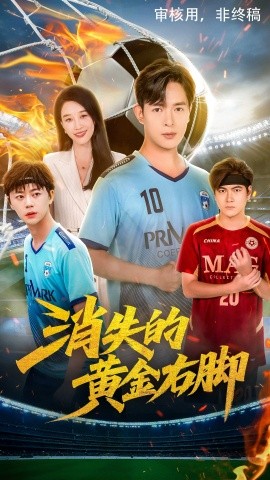 资源《消失的黄金右脚》的海报