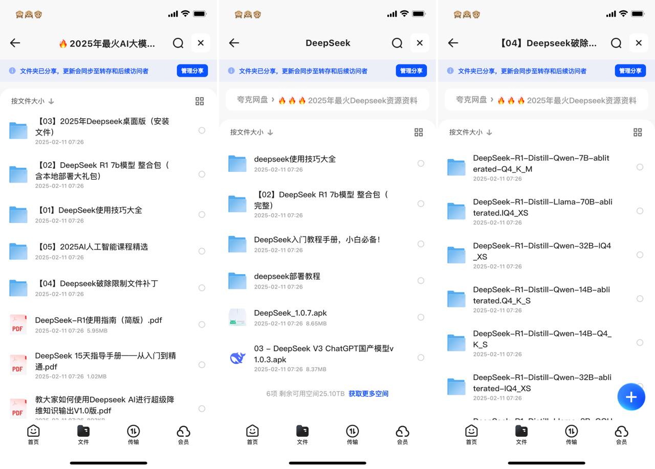 资源《2025最新最全DeepSeek资源汇总(包含越狱补丁)》的海报