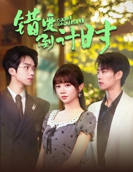 资源《错爱倒计时》的海报