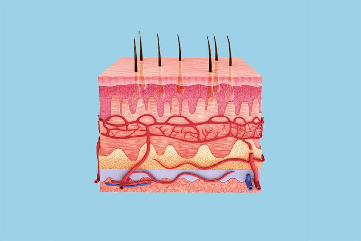 资源《管理皮肤 这么做才科学》的海报