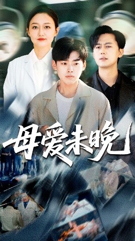 资源《母爱未晚》的海报