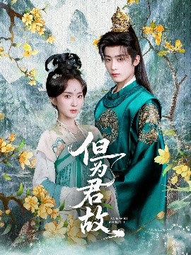 资源《但为君故》的海报