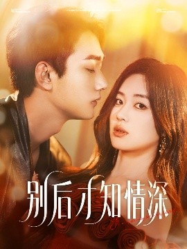 资源《别后才知情深》的海报