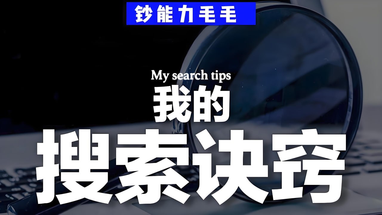资源《钞能力毛毛《B站充电专属视频：我的「有效搜索」方法论——如何用公开渠道挖掘隐藏信息》》的海报