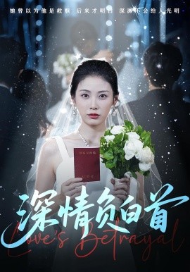 资源《深情负白首》的海报