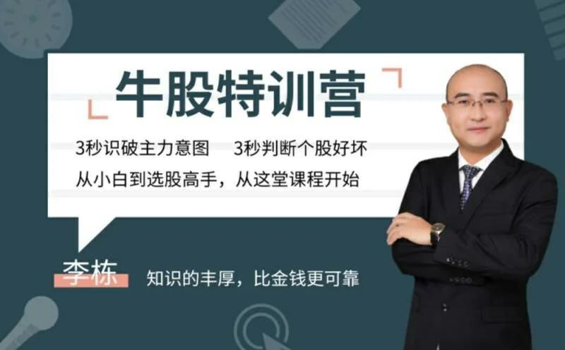 资源《无为李栋老师《牛股特训营》从小白到选股高手 20节视频课》的海报
