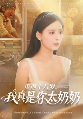 资源《重返十八岁我真是你太奶奶》的海报