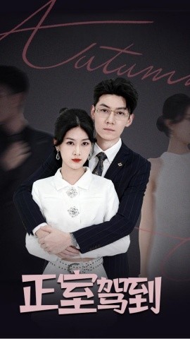 资源《正室驾到》的海报