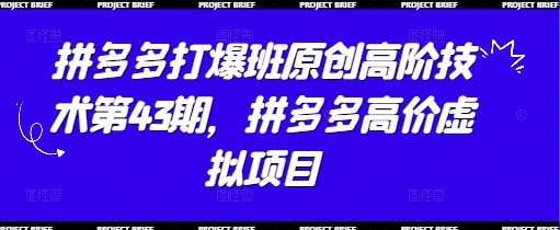 资源《拼多多打爆班原创高阶技术第43期》的海报