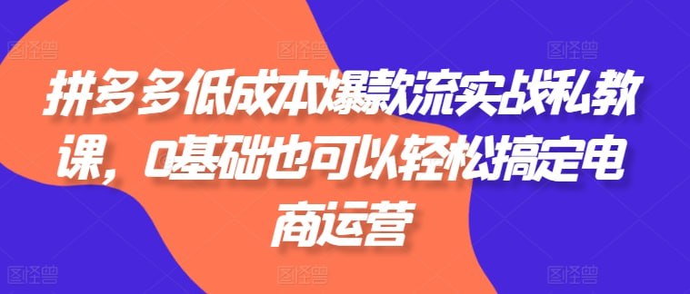 资源《拼多多低成本爆款流实战私教课》的海报