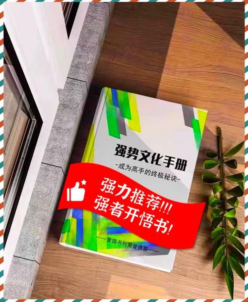 资源《《强势文化手册》洞察强势文化底层逻辑》的海报