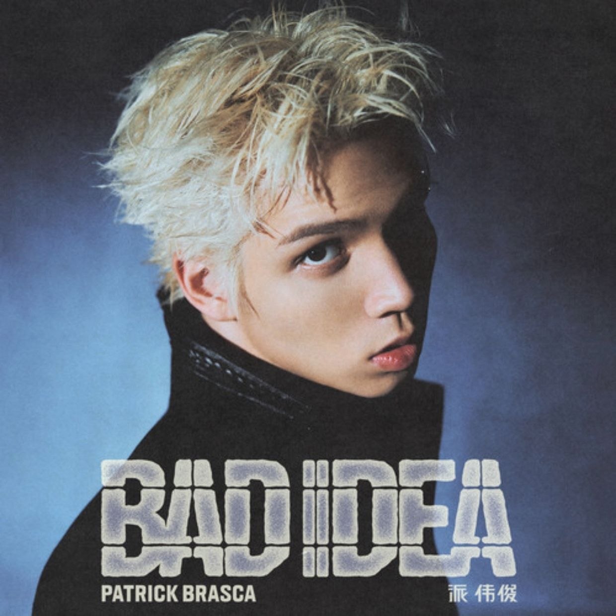 资源《派伟俊 BAD IDEA (2026) (FLAC Hi-Res 24bit 48khz》的海报