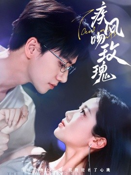 资源《疾风吻玫瑰》的海报