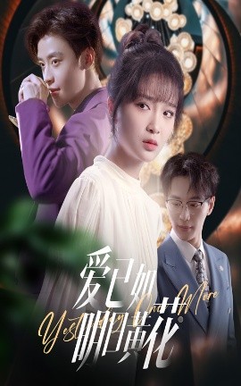 资源《爱已如明日黄花》的海报