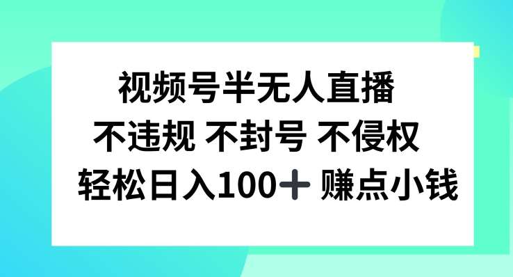 资源《视频号半无人直播，不违规不封号，轻松日入100+【揭秘】》的海报