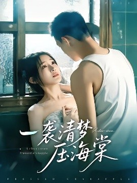 资源《一袭清梦压海棠》的海报